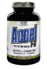 ACCEL 100 cpr. Anderson