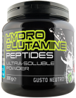 Hydro Glutamine Peptides 300 gr. Net Integratori