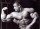 Tempro 2,25 Kg Doryan Yates Nutrition