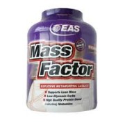 Mass Factor 2,3 Kg EAS