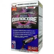 Aminocore 20 pks 9 gr. cad. All Max Nutrition
